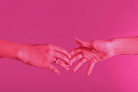 Rex Kaszinó Támogatás